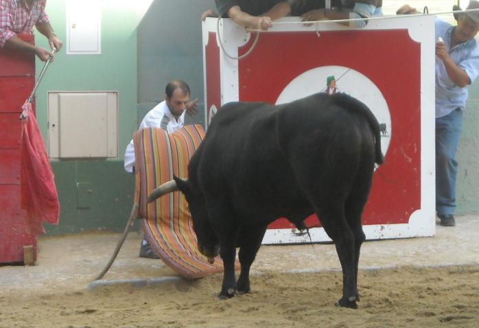 [Sem+títulogy80.JPG]