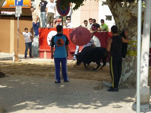 [3921707524_1f8e2df879.jpg]