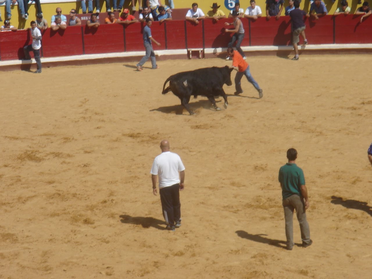 [DSC09408.JPG]