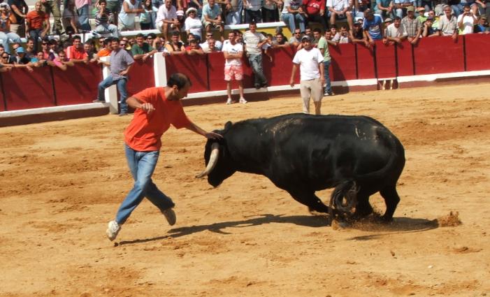 [Sem+títulovtr4.JPG]