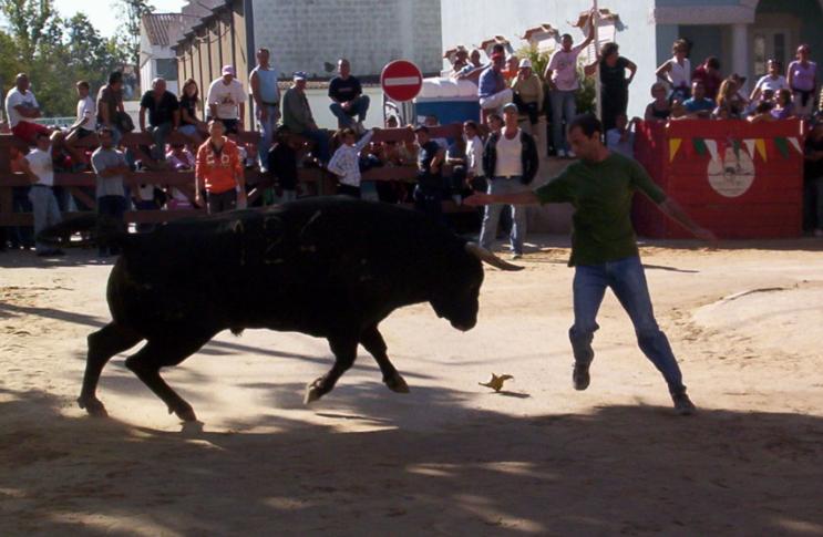 [Sem+títulowe3.JPG]