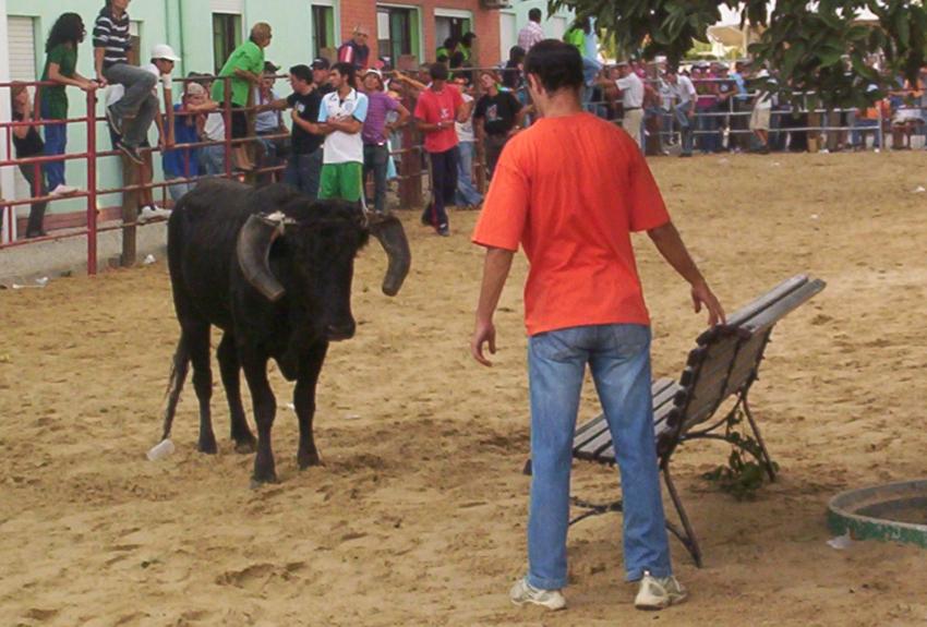 [Sem+títulofr21.JPG]
