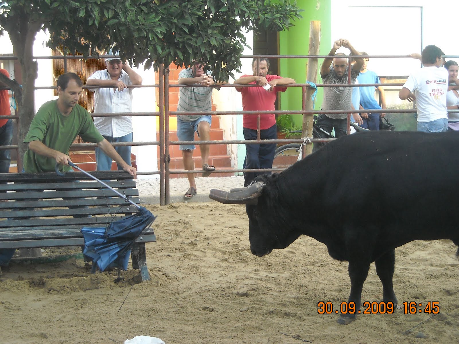 [DSCN2267.JPG]