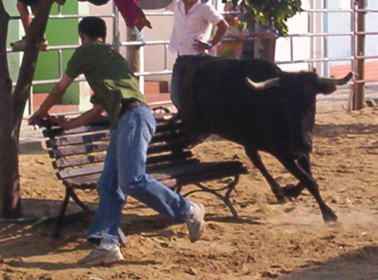 [Sem+títuloggy6.JPG]