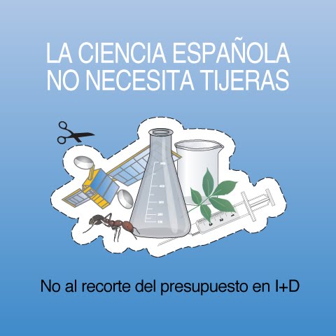 [No+al+recorte.bmp]