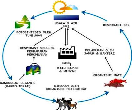 Biologi Wira Usaha Kuliner Biologi Sma Kelas X Translate Form English