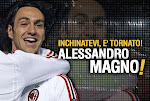 Grande Nesta