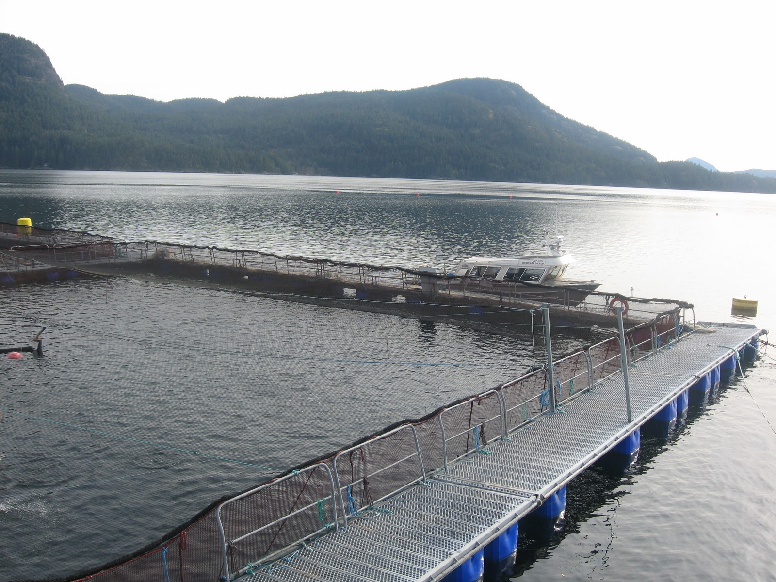 Fish Farm