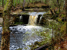 Yes, Florida has waterfalls