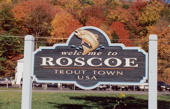 [roscoenewyorkrealty.jpg]