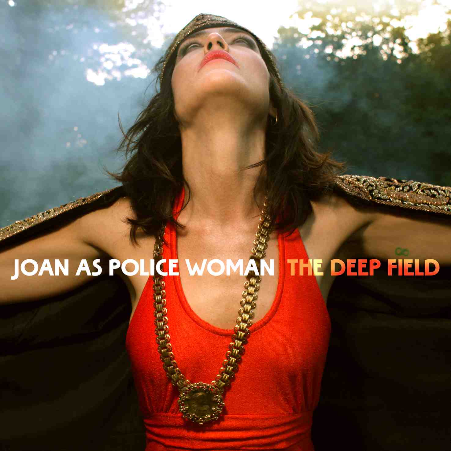 joan the policewoman