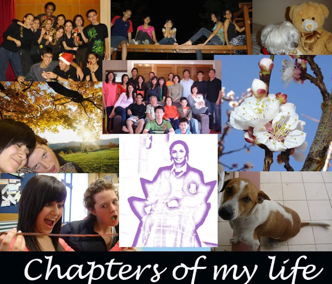 Chapters of my life