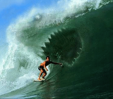 Os japoneses sempre adoraram