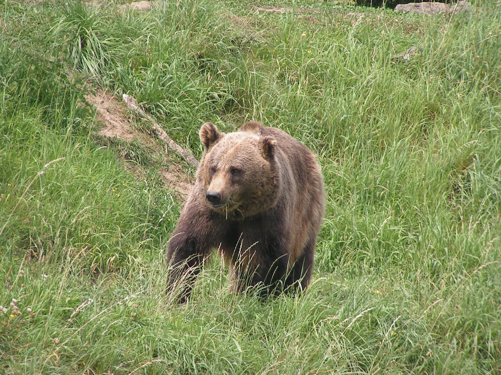 [Zoom+Gelsenkirchen+Aug+2009+072.jpg]