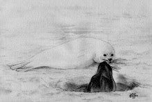 Seal hunting, or sealing, is the personal or commercial hunting of seals.