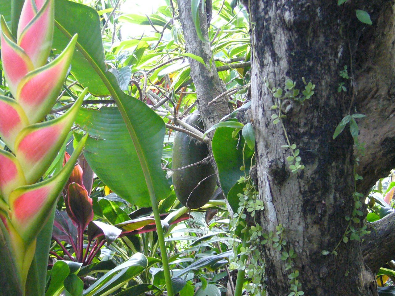 [100306_morro_guatemala.JPG]