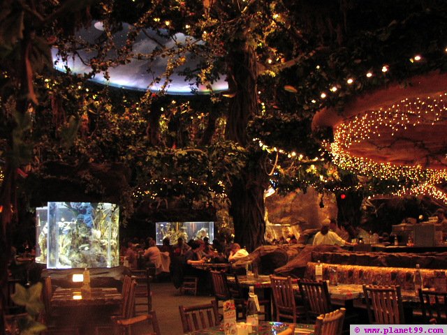 Горското ресторантче Rainforest+cafe