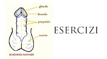 Aumenti di un pene Wikipedia