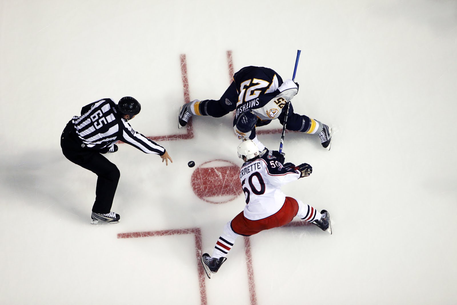 [predcbj1.jpg]