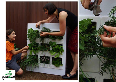 Vertical Garden