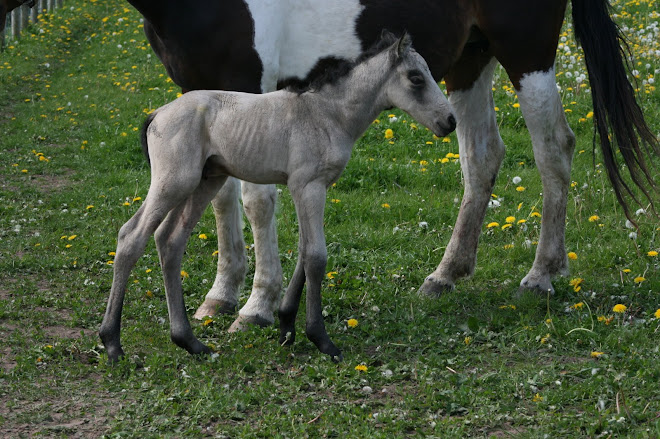 A few hours old