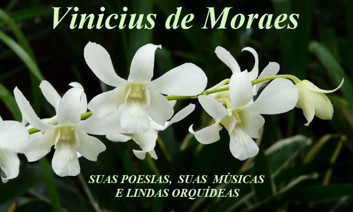 VINICIUS DE MORAES