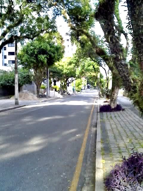 [Curitiba-+rua+tranquila+do+Batel+1-1-2009+19-38-24.jpg]