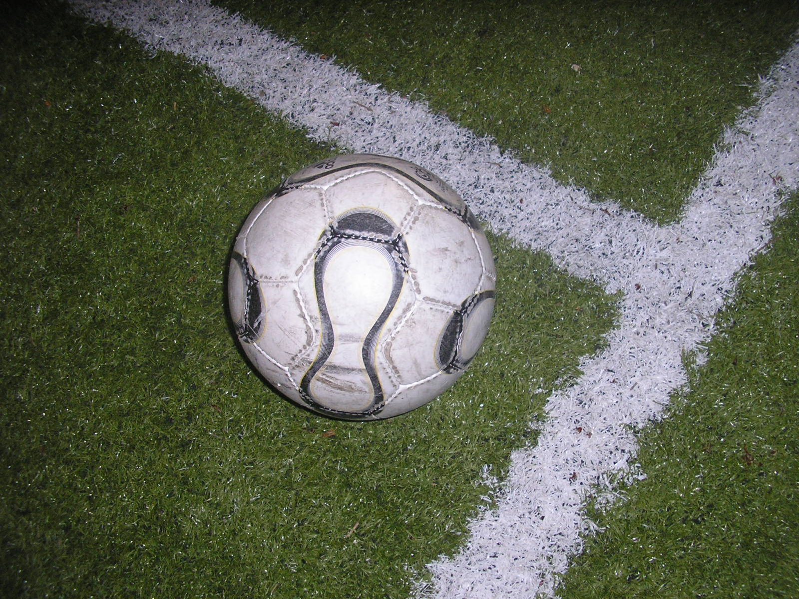 [P4040124.JPG]