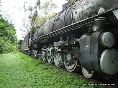 Vista lateral de la máquina 3027