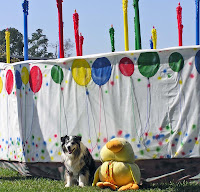 Geezer Birthdays in Houston