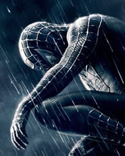 176x220 wallpaper Spider Man 3