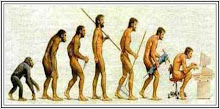 Evolución