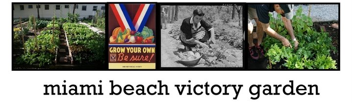 Miami Beach Victory Garden