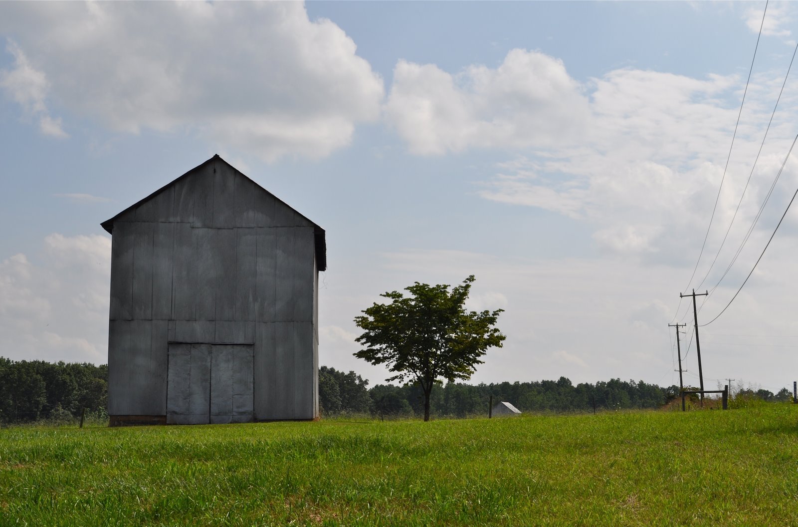 [DSC_0159.JPG]
