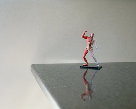 [Muscleman.jpg.jpeg]