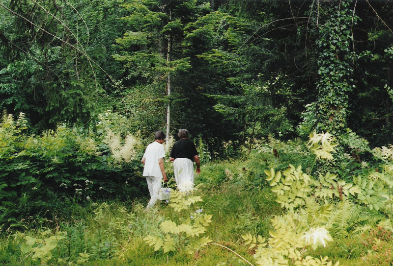 [botanisk+hage+11.JPG.jpeg]