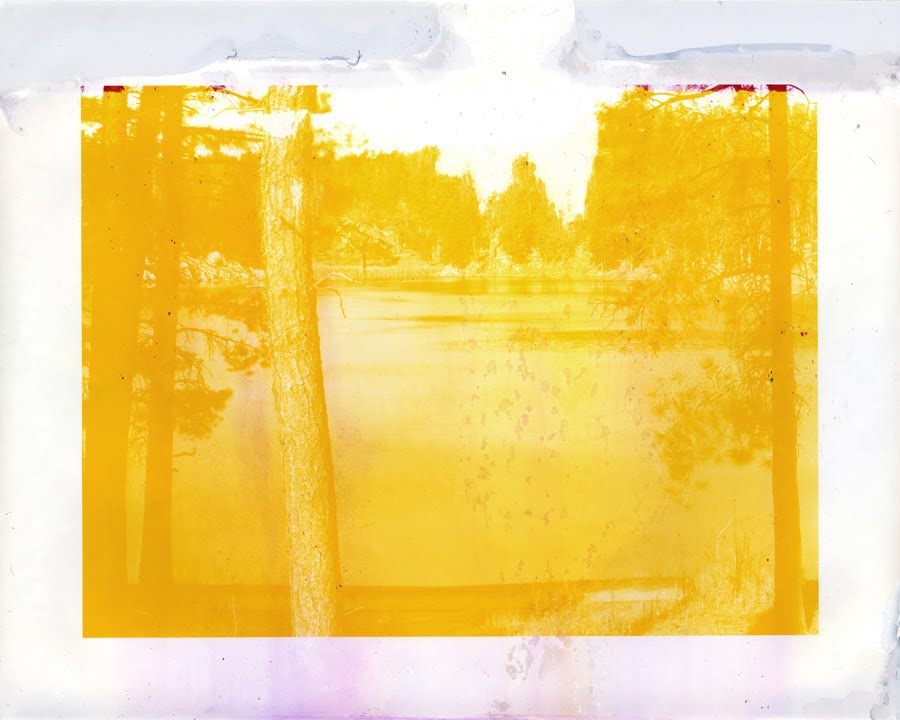 Vissi D Arte Artist Post Erwin Wurm