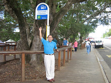 Eumundi Market - Queensland (Pasar Tani)