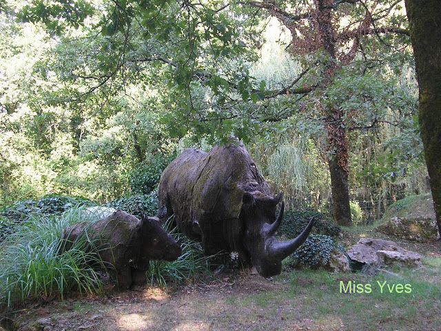 afij rencontres improbables