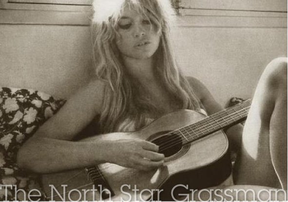 Sandy Denny The North Star Grassman And The Ravens Sandy Denny The North Star Grassman And The Ravens