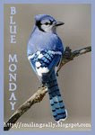 Join Blue Monday