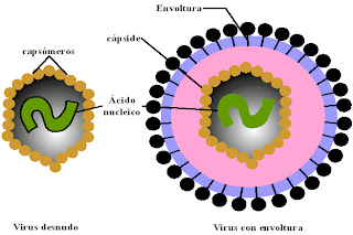 EDU MX 3000 SITES CIENCIA VOLUMEN2 edu mx 3000 sites ciencia volumen2: