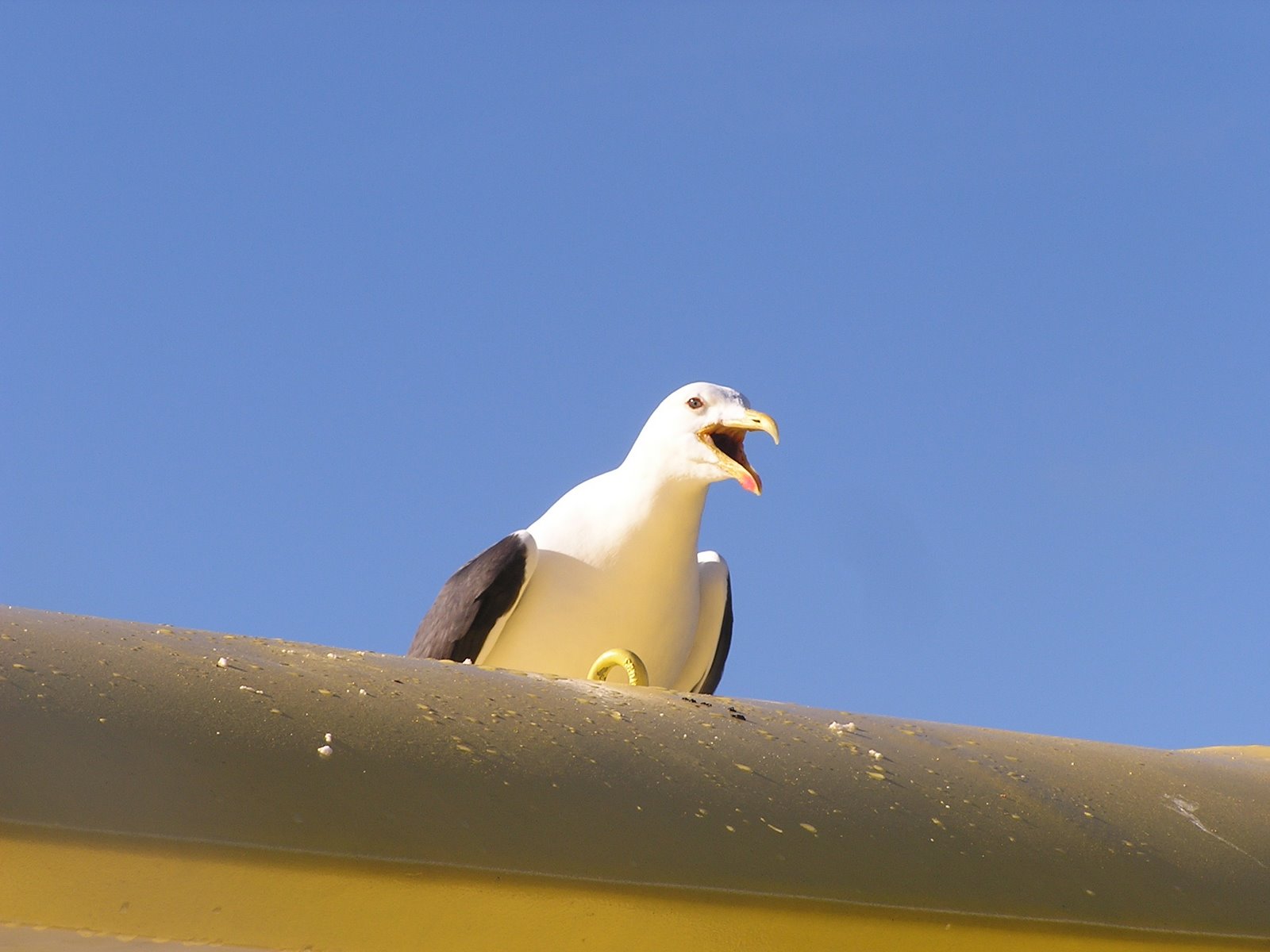 [P1010477.JPG]