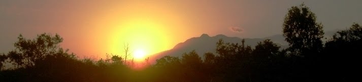 Que minha loucura seja perdoada