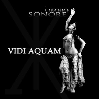 Various Artists Ombre Sonore