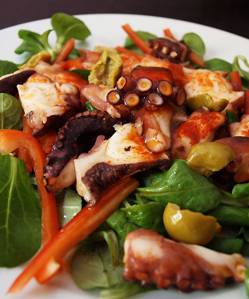 [Salada+de+Polvo+com+pimento.jpg]