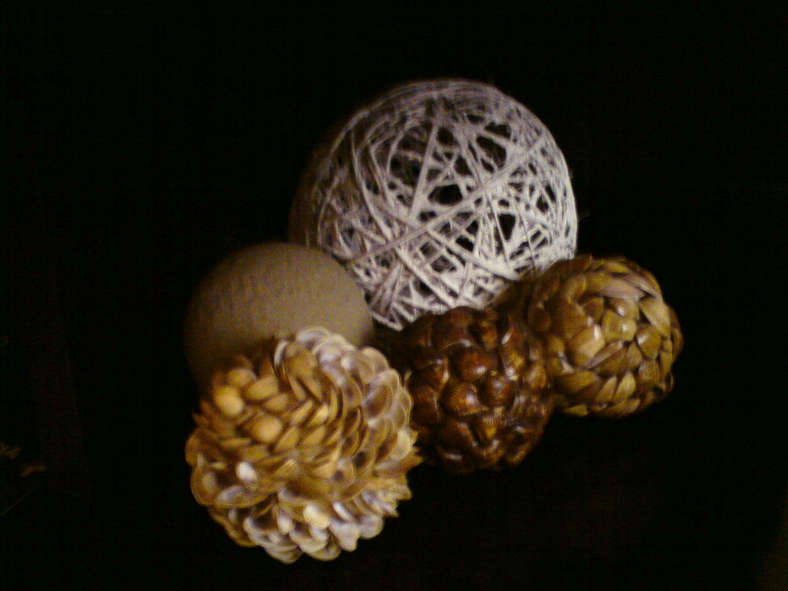 [DSC00293.JPG]