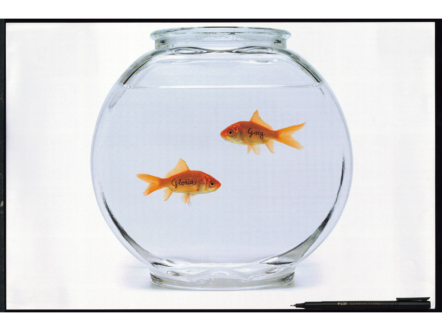 [17455_Goldfish.jpg]