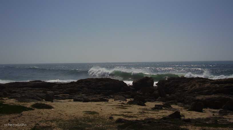 [P3290026.B.jpg]