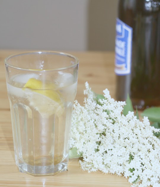 Elderberry flower syrup recipe the red mop
